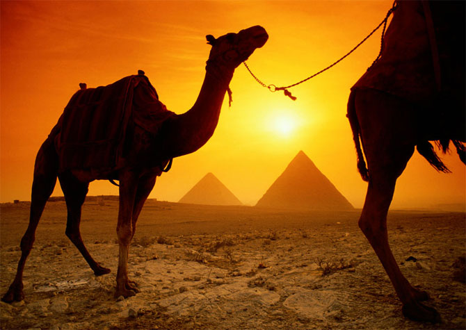 القوافل الصحراء